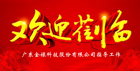 鎮(zhèn)總工會副主席蒞臨金祿科技指導(dǎo)
